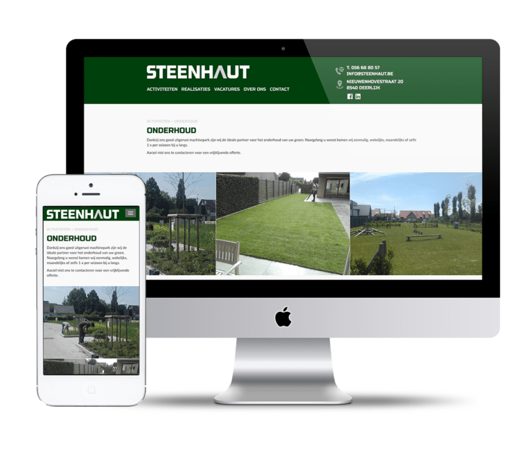 Website Steenhaut
